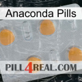 Anaconda Pills 24